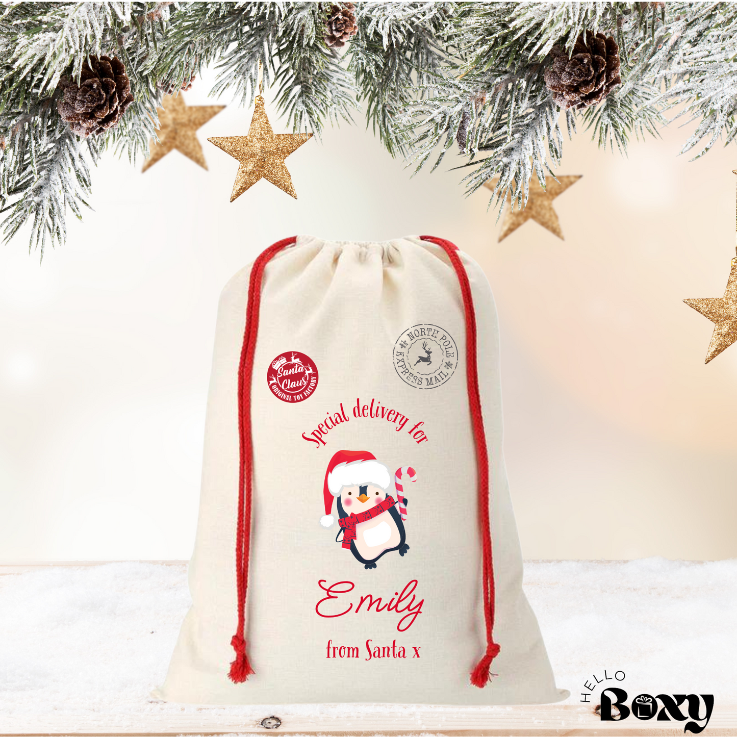 Personalised Christmas sack- Special Delivery penguin