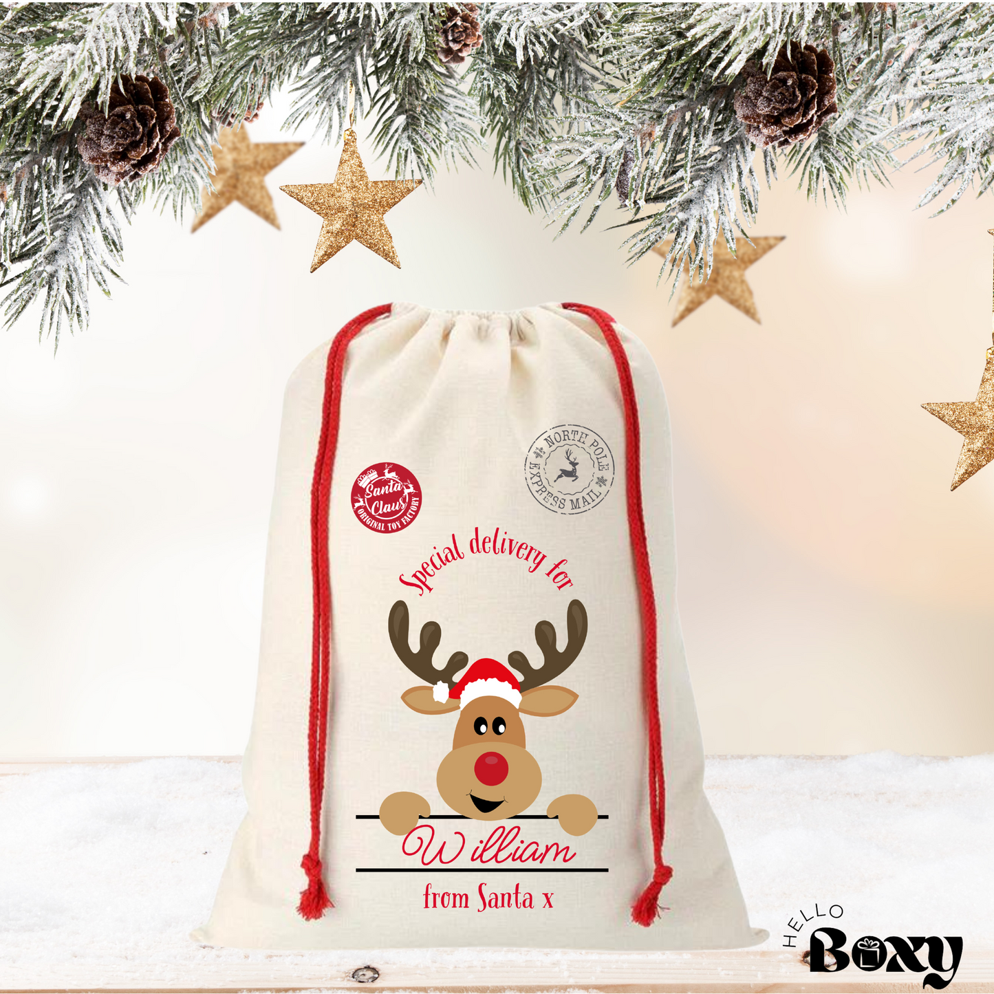 Personalised Christmas sack- Special Delivery Rudolph